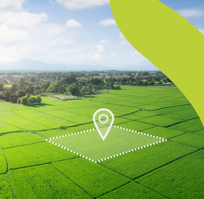 Uma vista aérea de um campo verde com um alfinete no meio